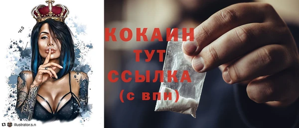 соль курить ск Богородск