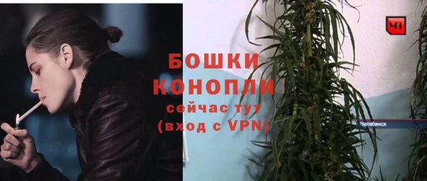 ALPHA PVP Богданович