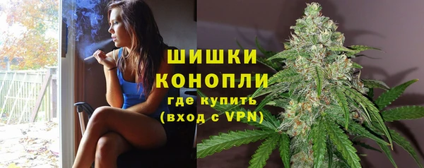 ALPHA PVP Богданович
