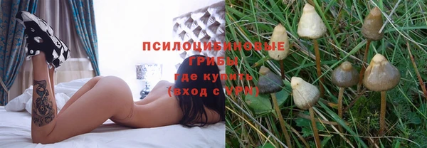 соль курить ск Богородск