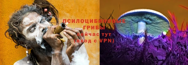 кокаин премиум Богородицк