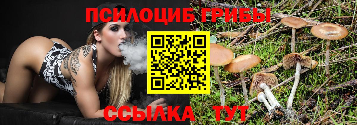 Богородск  Вход с VPN  КОКАИН  Мефедрон   Бошки Шишки 