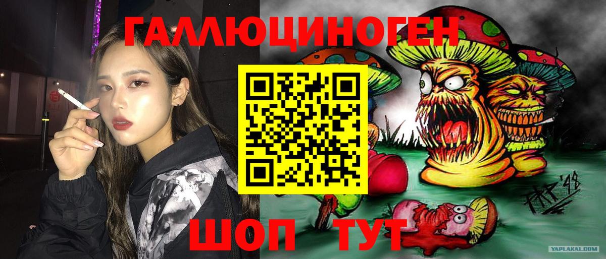 Галлюциногенные грибы прущие грибы Богородск